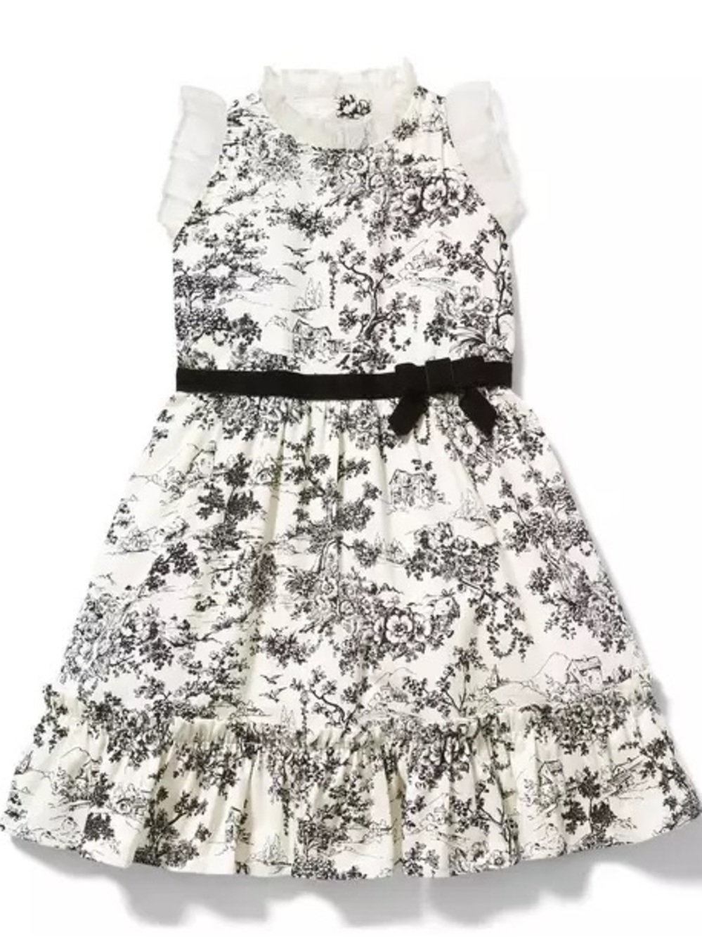 Janie & Jack Floral Toile Ruffle Dress, black and white, lace, velvet 2T